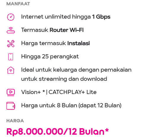 paket 1 gb 12bulan