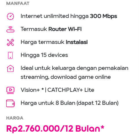 paket 300 12bulan