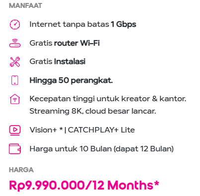 hifi Pro Ultra 1 Gbps 12 Bulan