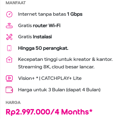 hifi Pro Ultra 1 Gbps 4 Bulan